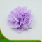 100% flores de poliéster para decoración (HSHC-1706)