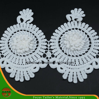 2017new Design Embroidery Lace on Organza (HJKL-1701)