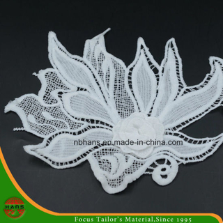2017new Design Embroidery Lace on Organza (HJKL-1704)