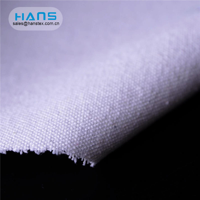 Hans Factory personalizó la tela de lona de bolsa ecológica lavada