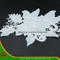 2017new Design Embroidery Lace on Organza (HJKL-1703)