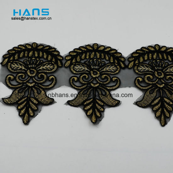 2018 Nuevo diseño de encaje bordado en organza (HC-1819)