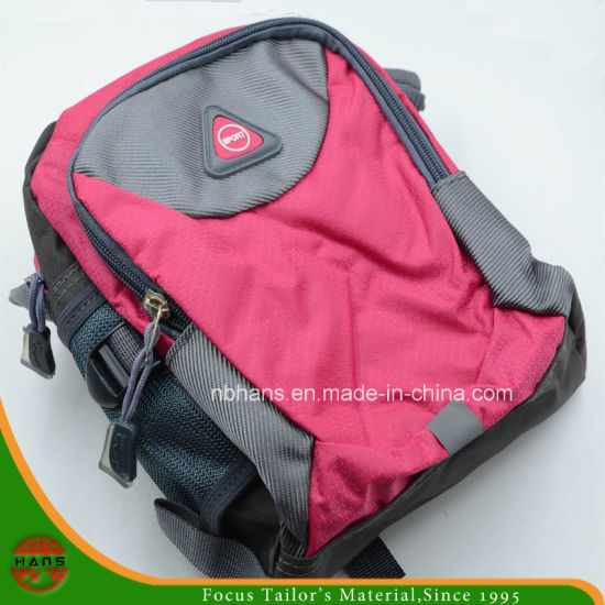 Nuevo bolso de nylon de Messager del hombro del diseño (HAWB160003)
